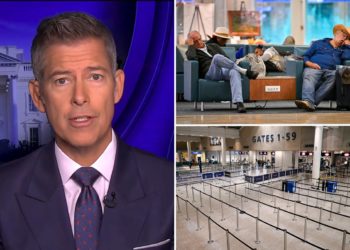 Transportation Secretary Sean Duffy warns airport delays will ‘get worse’ as the government shutdown continues