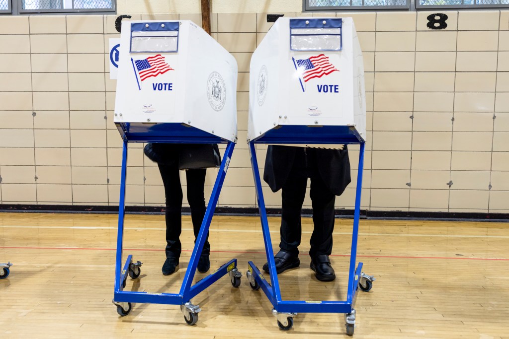 Two people cast votes inside privacy booths at a polling station.