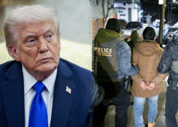 Trump backs ICE raid tactics, says they ‘haven’t gone far enough’