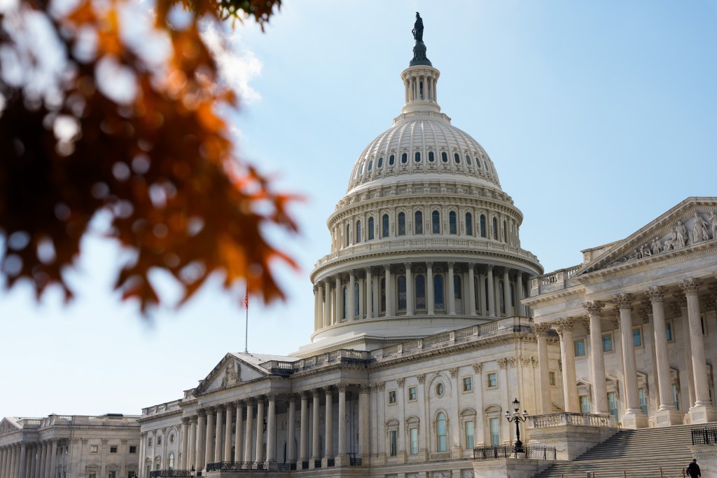 The US Capitol in Washington, DC