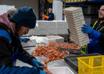 In Some Parts of Scotland, ‘The Only Thing We Need Is People’