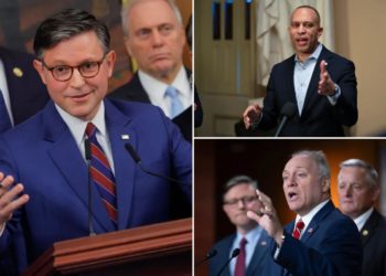 Republicans have ‘clear momentum’ against ‘broke, divided’ Dems heading into 2026 midterms: internal memo