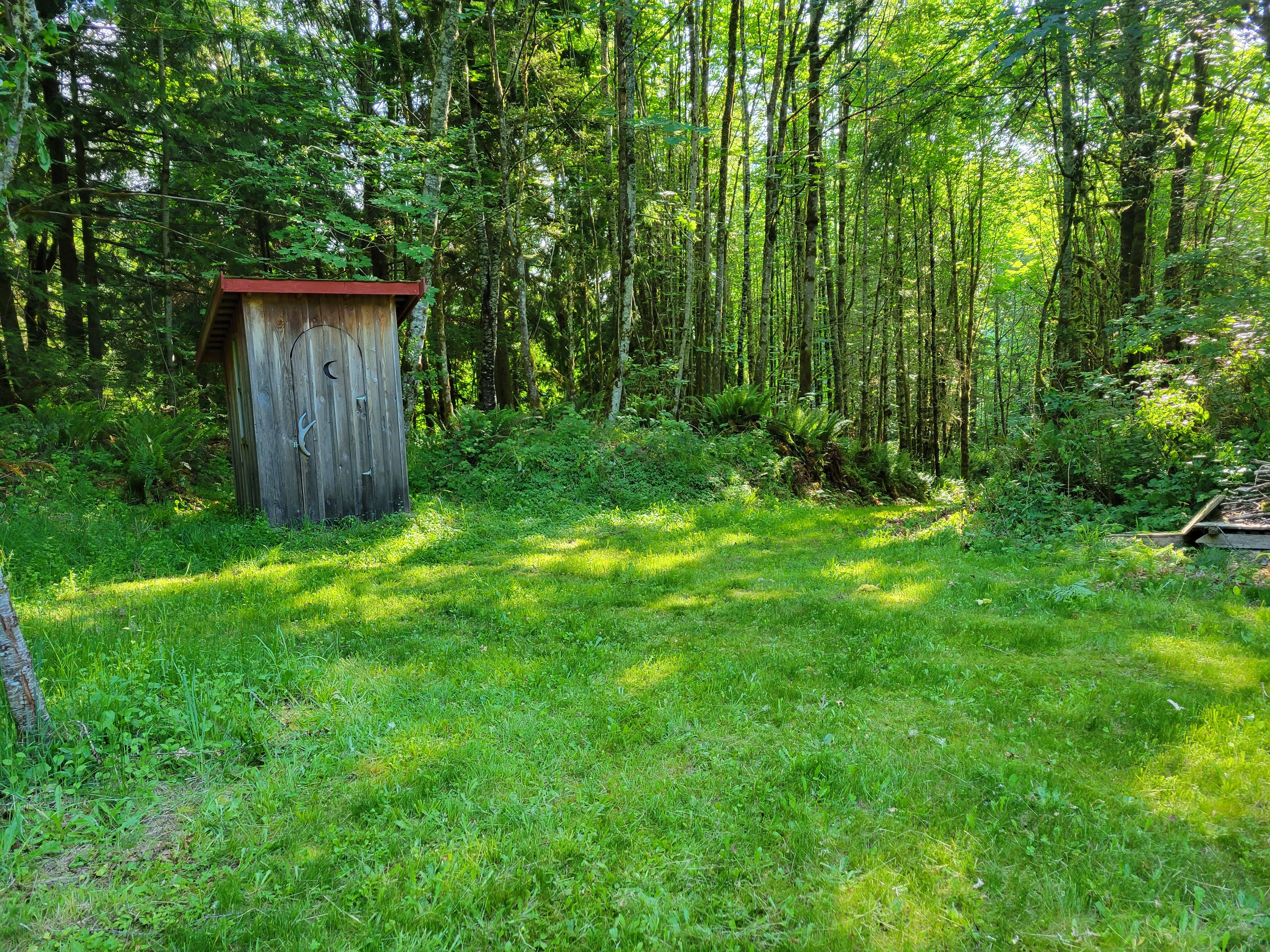 Outdoor space with outhouse in corner
