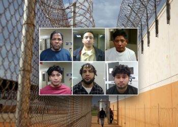 Sexual predators, drug traffickers among ICE’s ‘worst of the worst’ roundup in Virginia