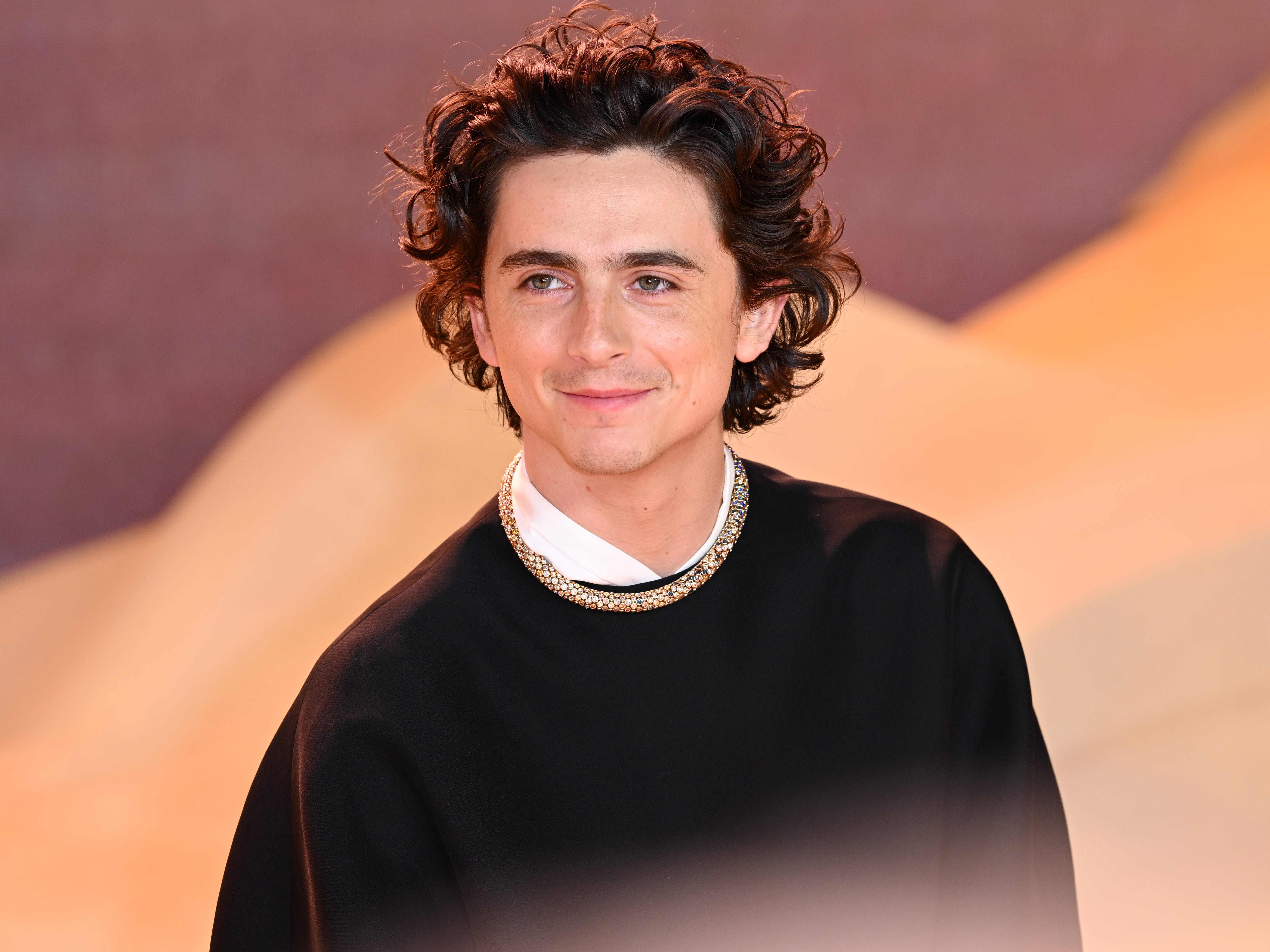 Timothée Chalamet attends the World Premiere of 