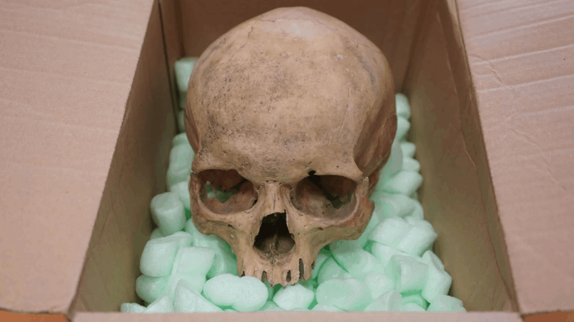 Tourist Stole a Skull From a Cathedral 60 Years Ago—and Just Returned It