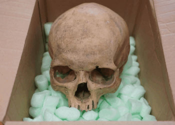 Tourist Stole a Skull From a Cathedral 60 Years Ago—and Just Returned It