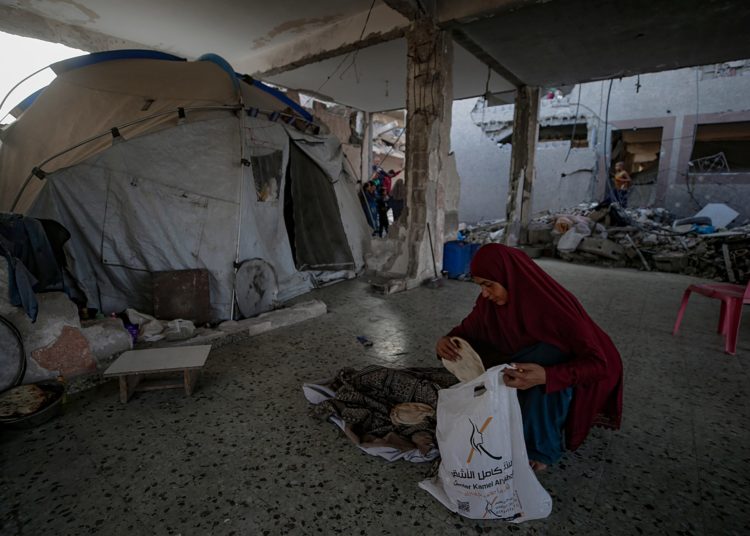 ‘Race against time’: Palestinians suffer from hunger in Gaza despite truce