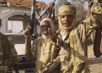 RSF digging mass graves in Sudan’s el-Fasher to ‘clean up massacre’: Expert