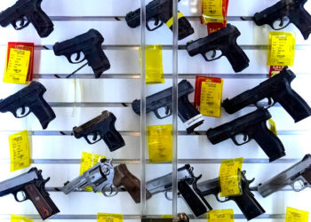 Maine Voters Approve ‘Red Flag’ Gun Law