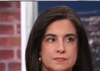Malliotakis: We Need to Move More to Middle, Going ‘Too Far’ on Deportations Will Hurt Us