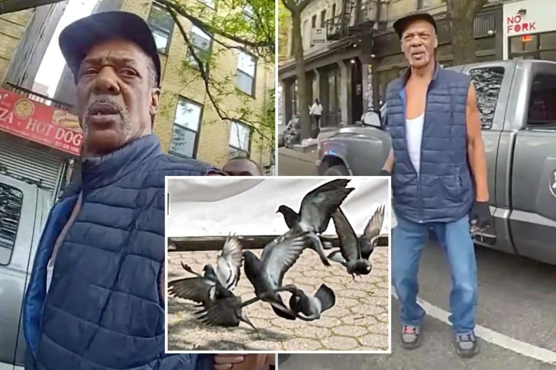 Pigeon poacher accused of kidnapping ‘New Yorkers’ to sell for shooting practice is free as a bird