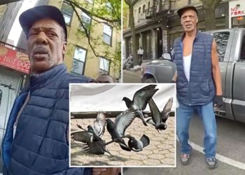 Pigeon poacher accused of kidnapping ‘New Yorkers’ to sell for shooting practice is free as a bird