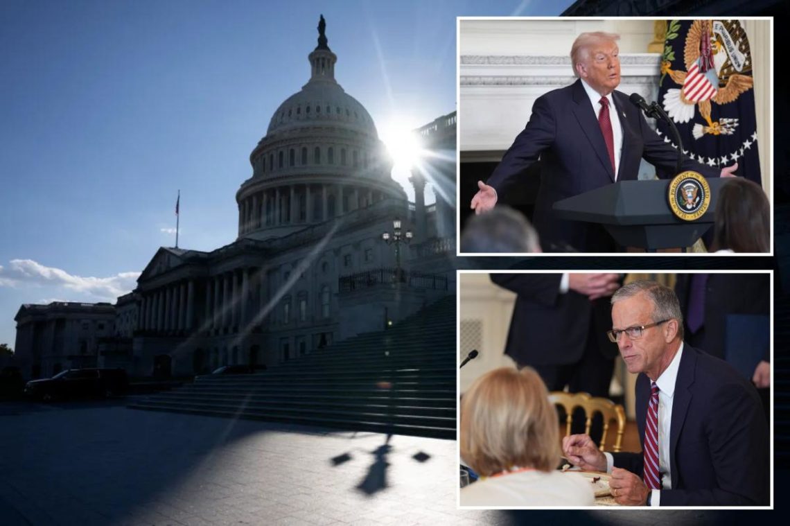 Government shutdown becomes the longest on record: ‘Stop this mess’