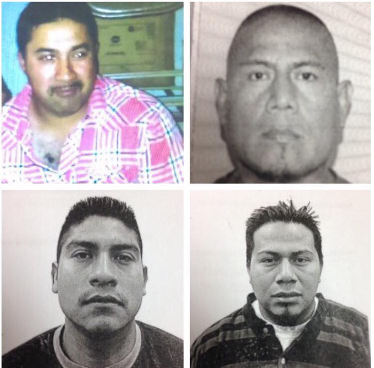 Collage of Hector Gutierrez, Martin Santos-Luna, Urbano Morales-Santiago, and Miguel Sosa-Luna.