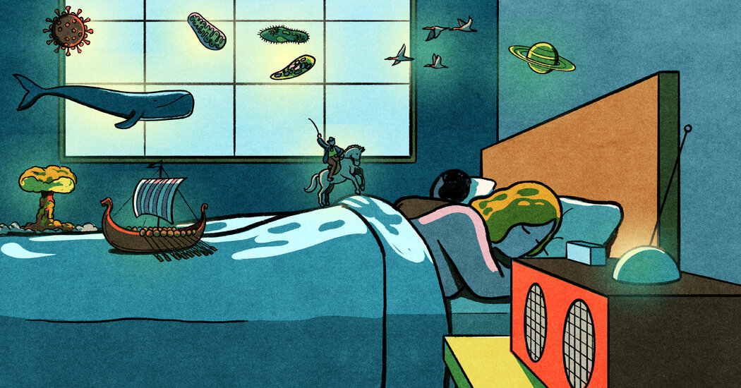 The Soothing British Radio Show That Blew My Mind — and Put Me Right to Sleep