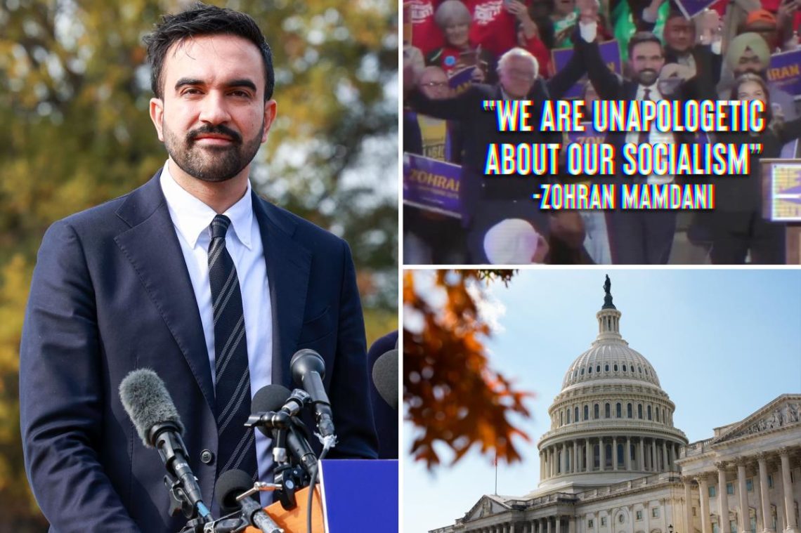 Zohran Mamdani stars in NRCC ads against House Dems: ‘Your city could be next’