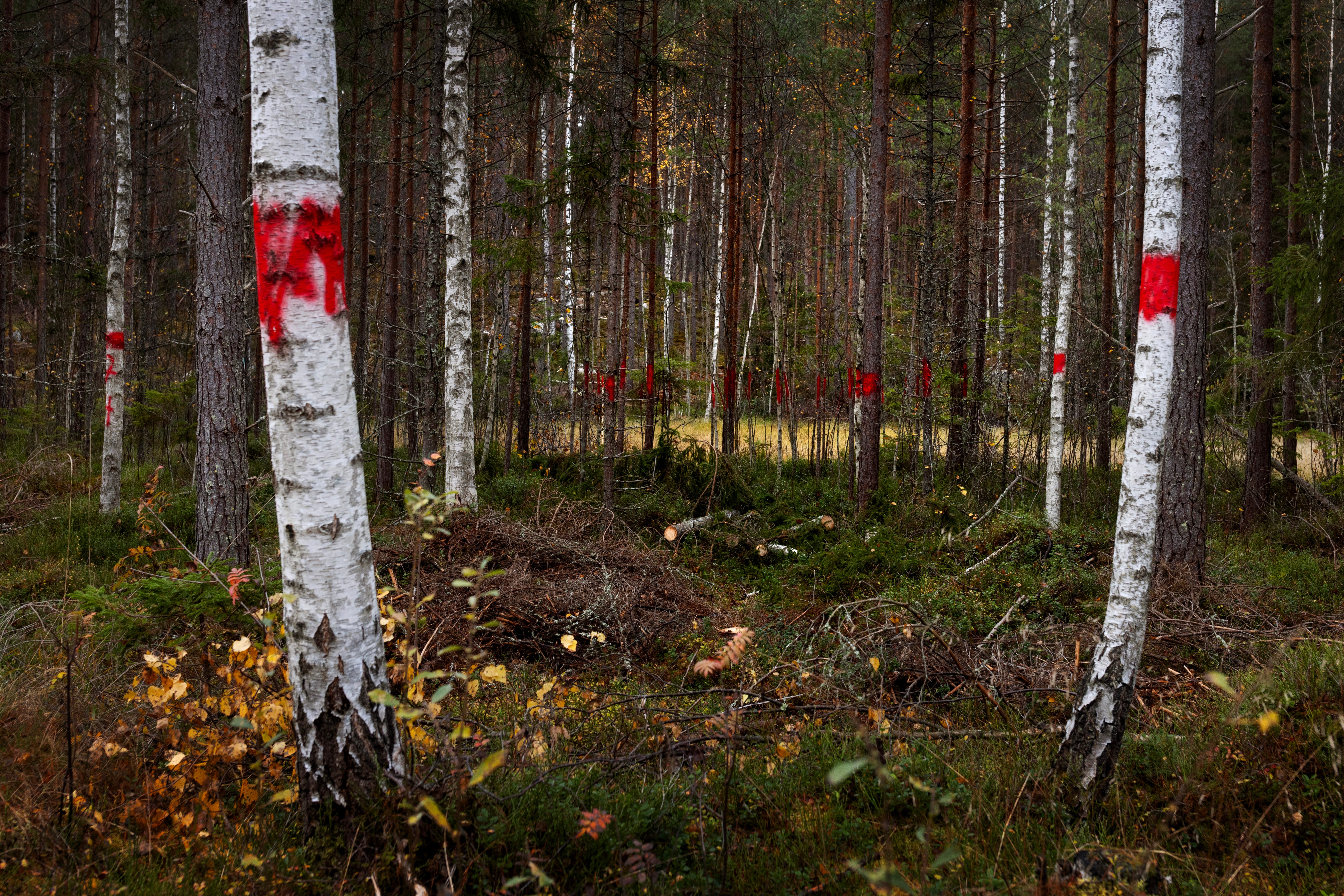 TNT factory construction site