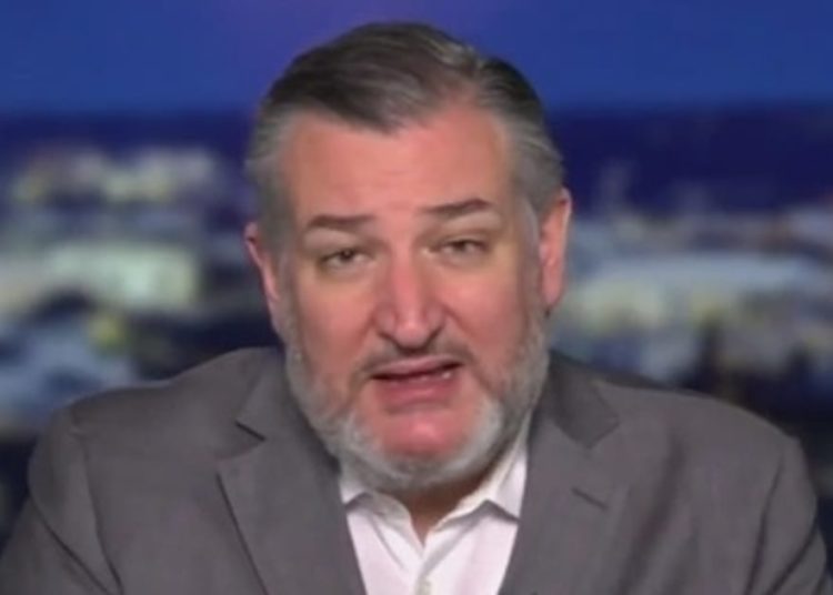 Devastated Ted Cruz Admits Disaster Is Looming for Republicans
