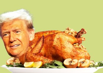 Trump’s ‘Irrefutable’ Thanksgiving Claim Hit With Brutal Fact Check