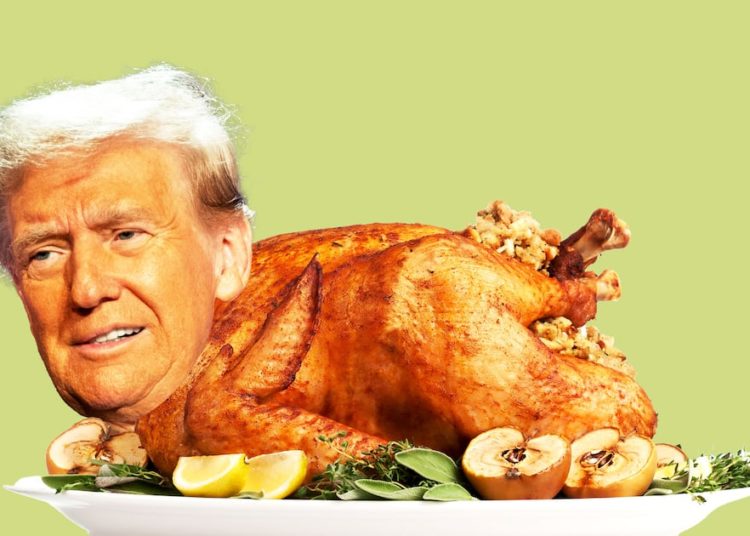 Trump’s ‘Irrefutable’ Thanksgiving Claim Hit With Brutal Fact Check