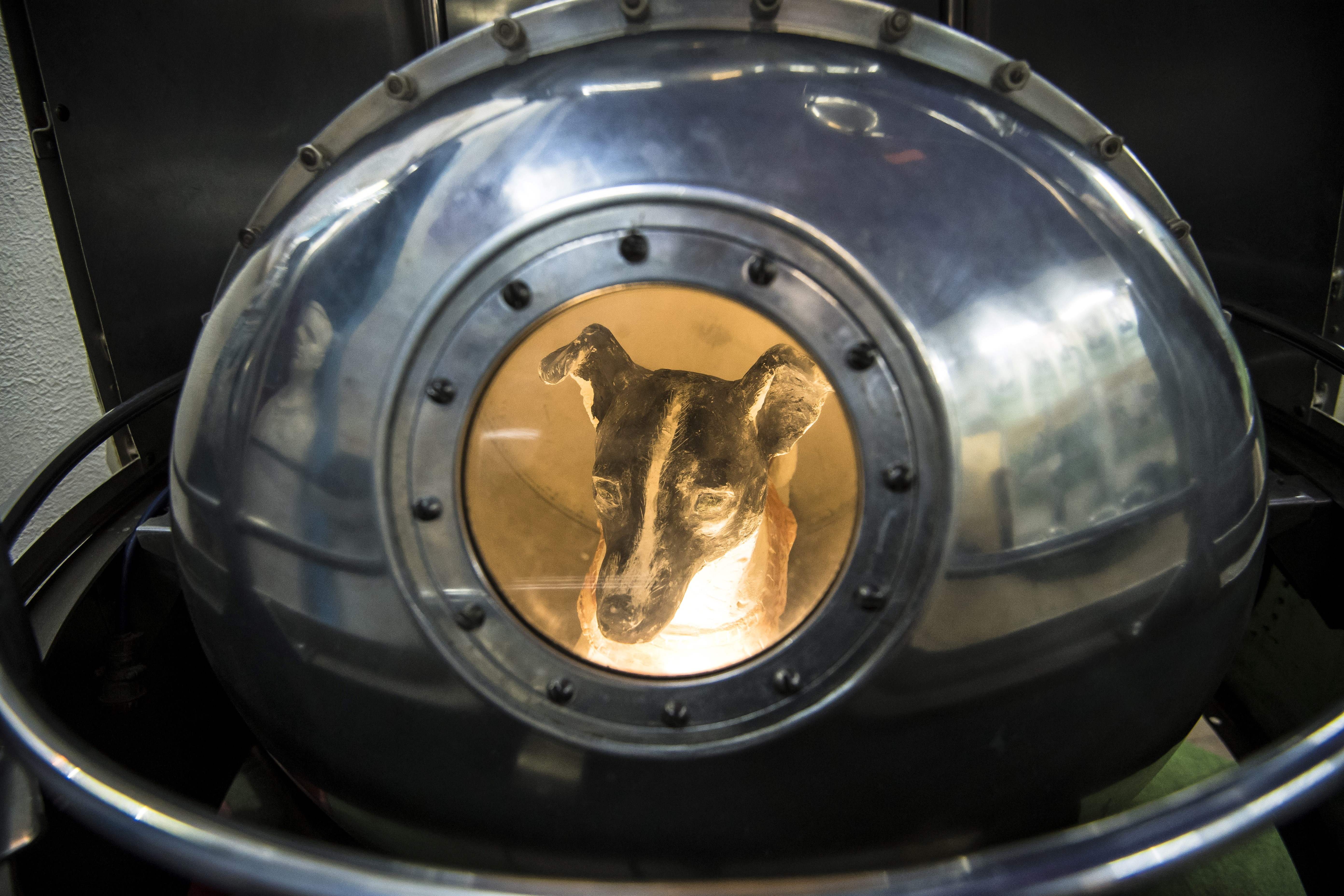 A model of a small dog, seen through a round porthole, inside a riveted spherical metal capsule.