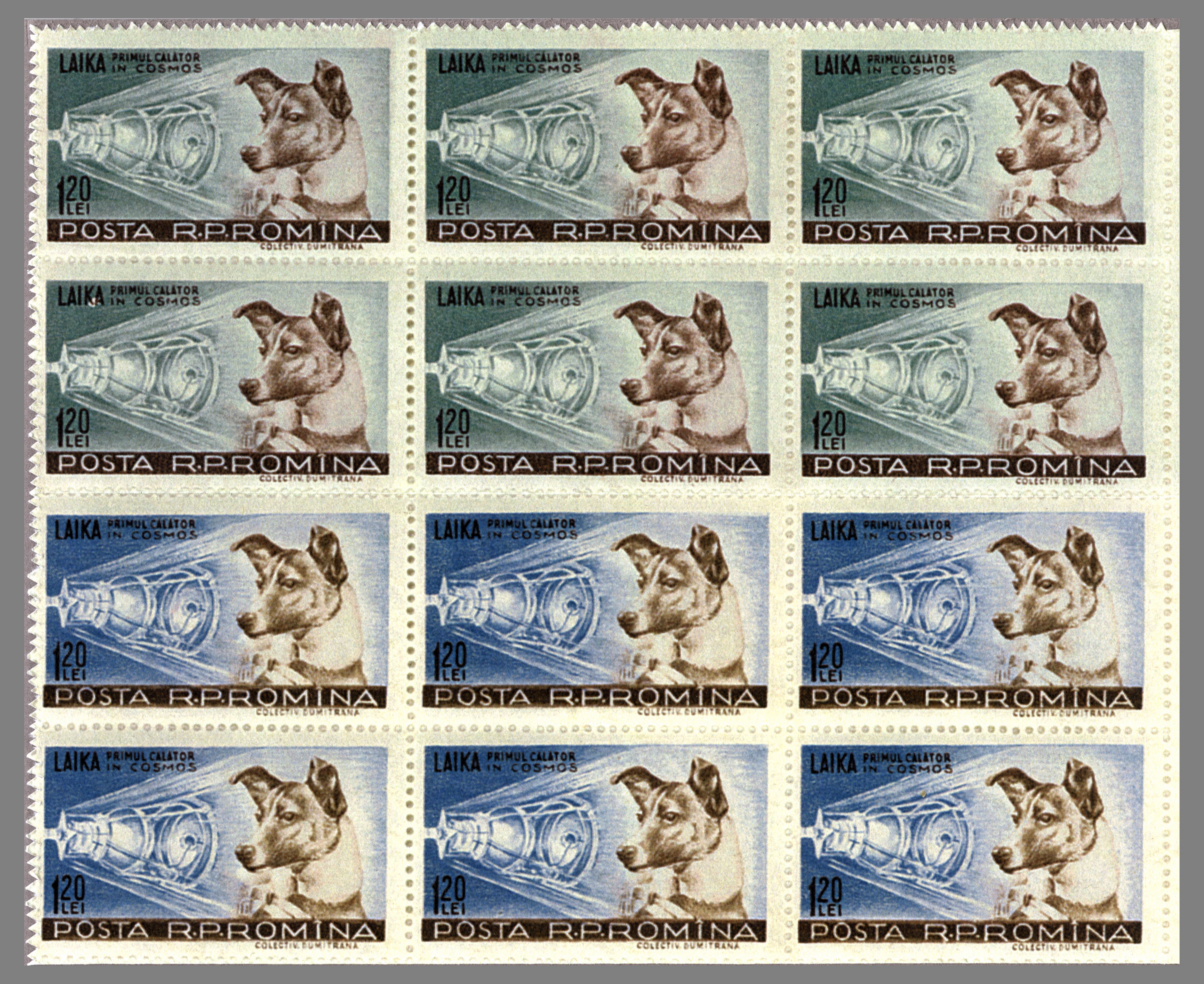 Sheet of twelve Romanian postage stamps featuring Laika with her portrait beside a Sputnik 2 illustration, in green and blue tints. Sheet of twelve Romanian postage stamps featuring Laika with her portrait beside a Sputnik 2 illustration, in green and blue tints.
