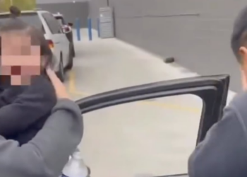 Baby Pepper-Sprayed by DHS Thugs During Family Grocery Trip