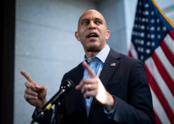 Democrats push for a ‘ruthlessly pragmatic’ approach to counter Trump