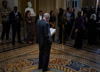 Schumer opposed the shutdown deal. Some Democrats still want him out.