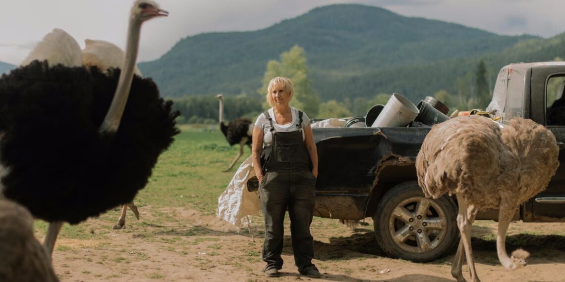 All the Ostriches Must Die