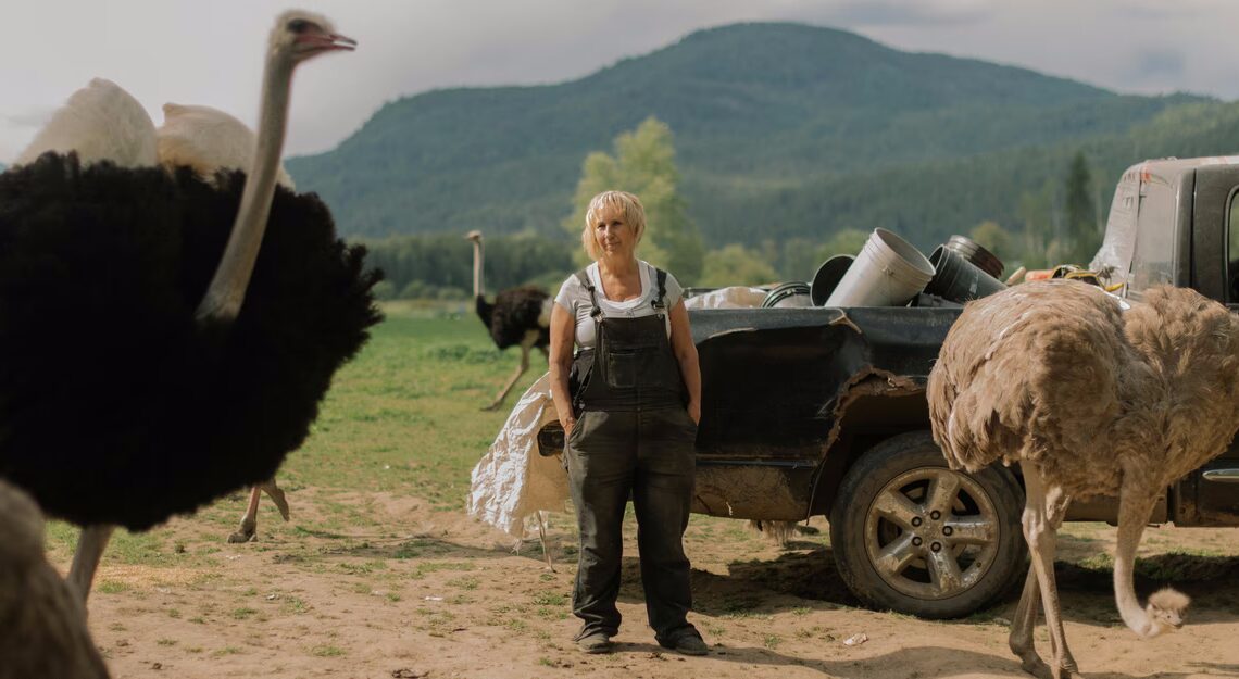 All the Ostriches Must Die