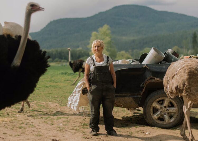 All the Ostriches Must Die