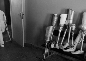 A Warning From the Children of Chernobyl