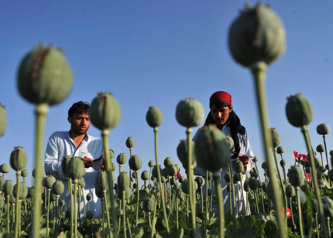 Inside the CIA’s secret mission to sabotage Afghanistan’s opium