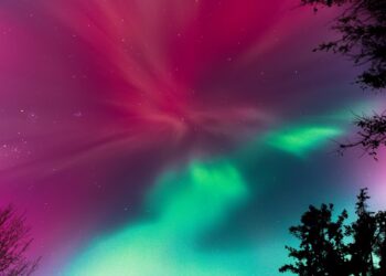 Photos: The Northern Lights Put on a Show