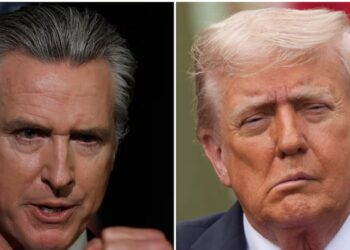 Newsom Trolls Trump With Pitch for His Next Reality Show