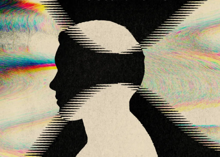 How the brain builds your world of sound