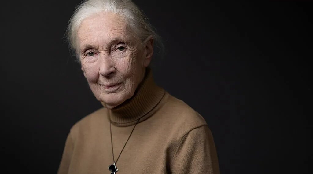 Jane Goodall Honored at Her Funeral as a Visionary Scientist and a Voice of Hope for the Planet
