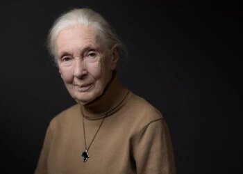 Jane Goodall Honored at Her Funeral as a Visionary Scientist and a Voice of Hope for the Planet