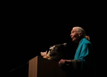 Jane Goodall’s Memory Lives On