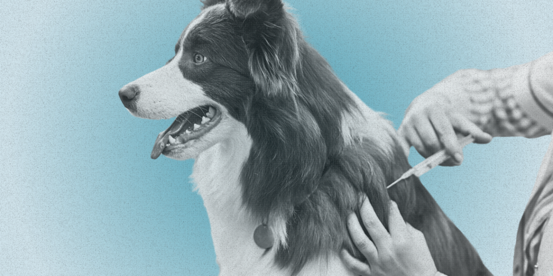 Here’s Why Fewer People Are Vaccinating Their Pets