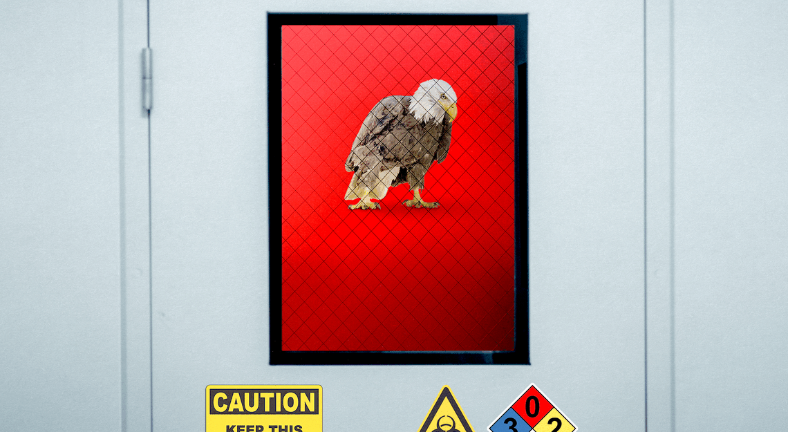 Trump’s Animal-Research Plan Has a Missing Step