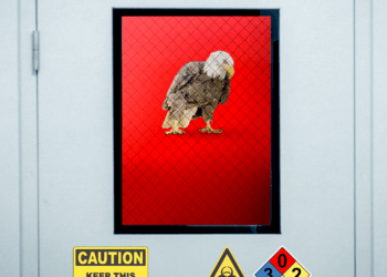 Trump’s Animal-Research Plan Has a Missing Step