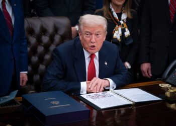 Trump faces resistance in MAGA movement over immigration, Epstein