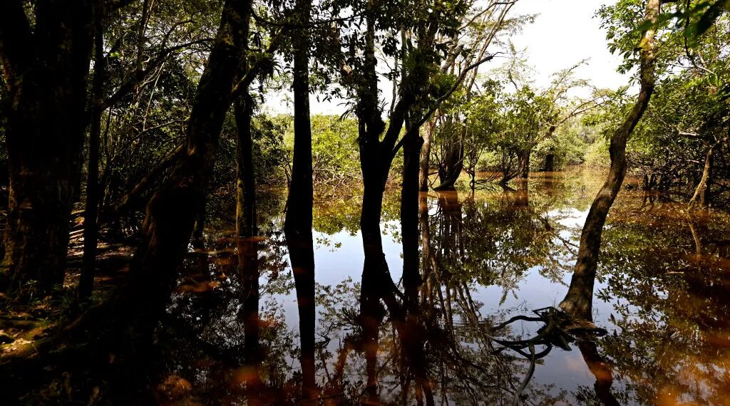 Ecuador’s Constitution Was the First to Protect the Rights of Nature. Now That’s at Risk