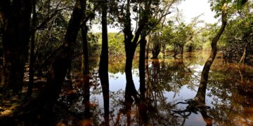 Ecuador’s Constitution Was the First to Protect the Rights of Nature. Now That’s at Risk