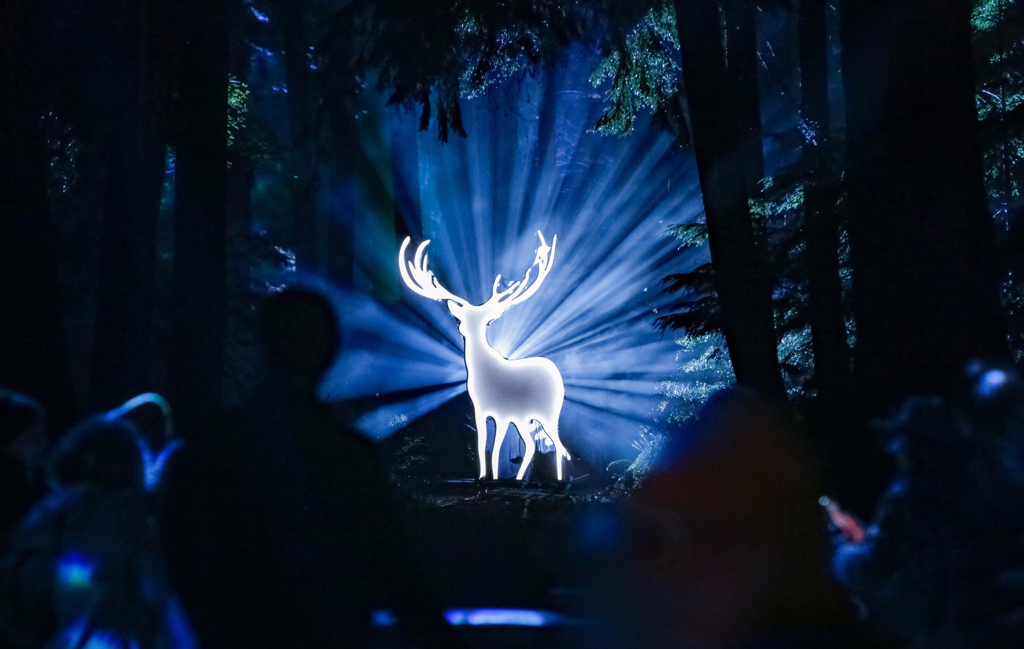 A life-sized cutout sculpture of a stag glows, surrounded by backlighting, displayed in a forest setting.