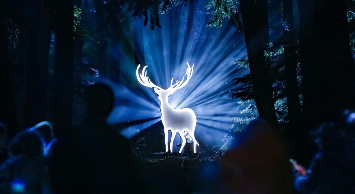 Photos of the Week: Dachshund Day, Flying Fish, Wānaka Tree