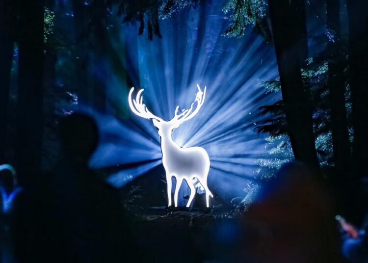 Photos of the Week: Dachshund Day, Flying Fish, Wānaka Tree